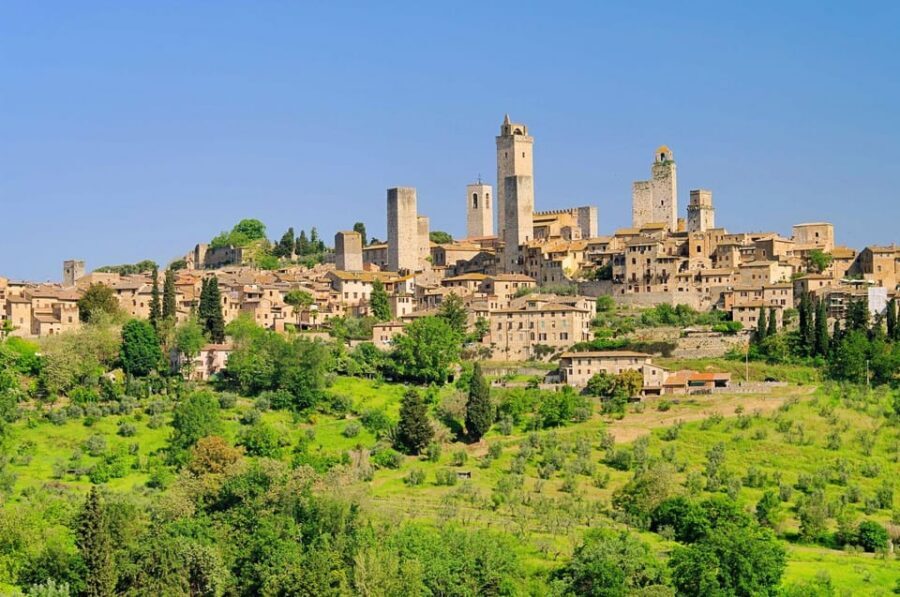 San Gimignano and a Winery with Light Lunch from Pisa - Winery Time: Chianti Tasting, Olive Oil, and Winemaking How-It-Works