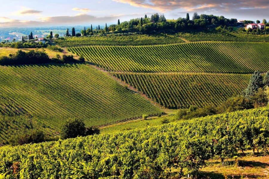 San Gimignano and a Winery with Light Lunch from Pisa - Getting Started: Piazza Sant’Antonio Pickup and the AC Ride