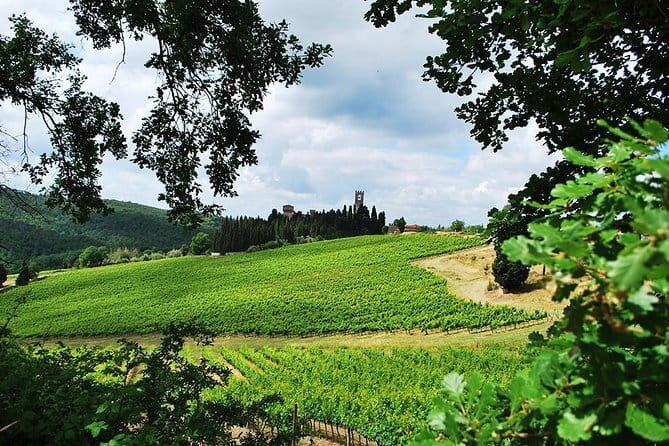 San Gimignano and Chianti Classico Wine and Food PRIVATE TOUR from Florence - Why This Chianti Classico Day Trip Works Better Than DIY