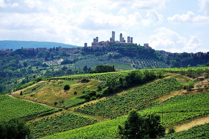 San Gimignano and Chianti Classico Wine and Food PRIVATE TOUR from SIENA - Winery Stops and Wine Tasting: What You Can Get Out of It