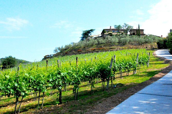 San Gimignano and Chianti Classico Wine and Food PRIVATE TOUR from SIENA - Timing, Comfort, and the Details That Keep a Long Day From Dragging