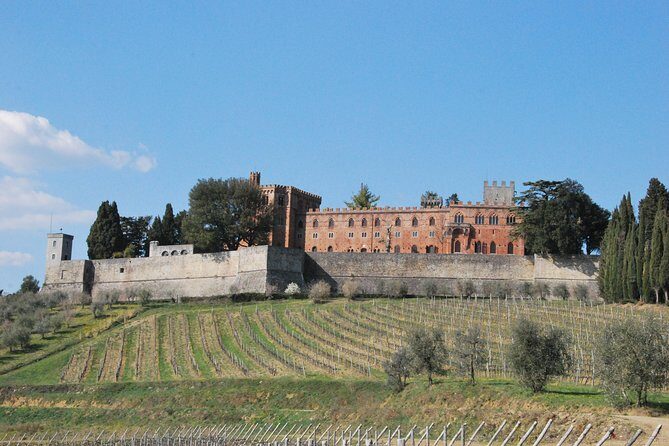 San Gimignano and Chianti Classico Wine and Food PRIVATE TOUR from SIENA - Should You Book San Gimignano and Chianti Classico From Siena?