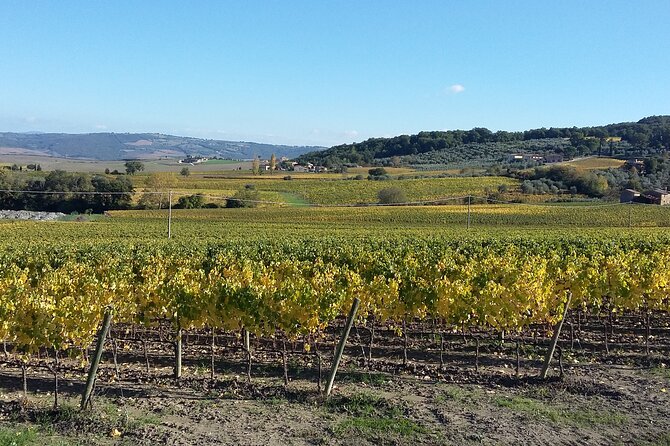 San Gimignano and Chianti tour - What to expect during your 8 hours