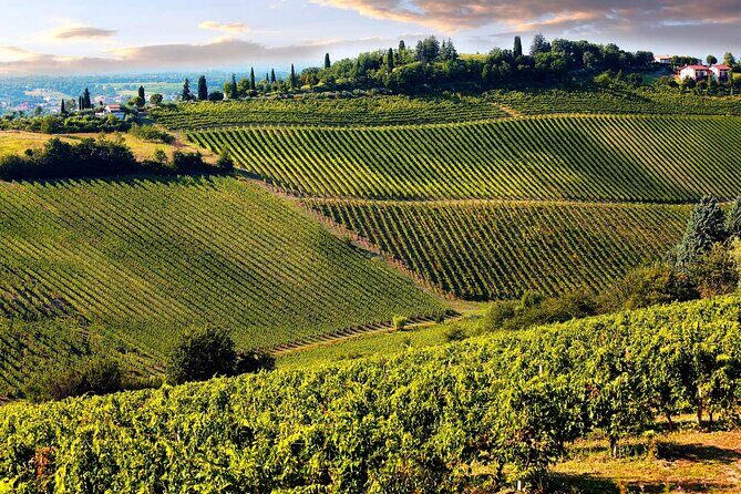 San Gimignano and Winery Experience with Light Lunch from Lucca - Timing reality: how a 7 to 8 hour day stays enjoyable