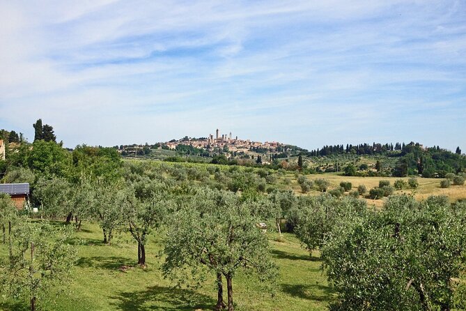 San Gimignano and Winery Experience with Light Lunch from Pisa - Price and value: what you’re paying for (and what you’re not)