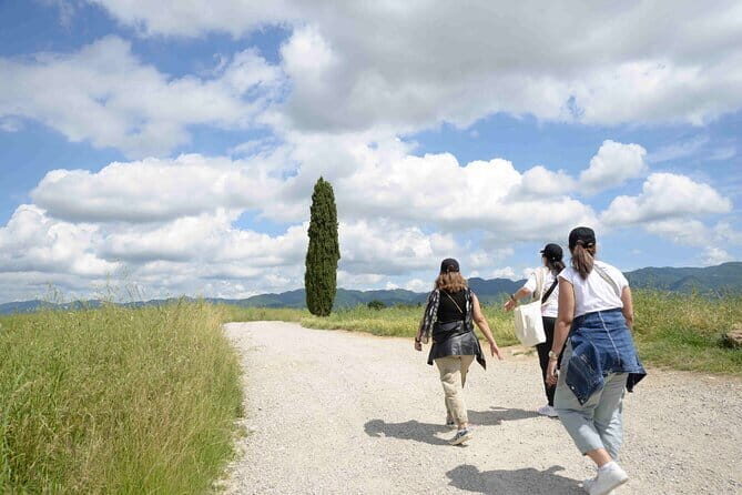 San Gimignano Bike Tour (SOFT) - What’s included vs. what you’ll have to handle