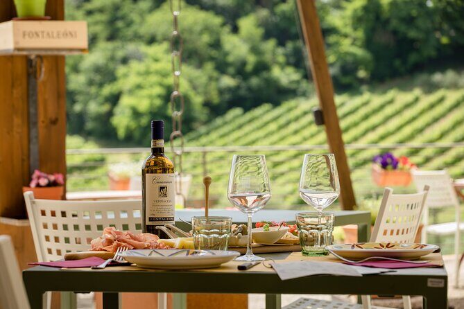 San Gimignano: Chianti wine tasting - English hosting: what to expect if you don’t speak Italian