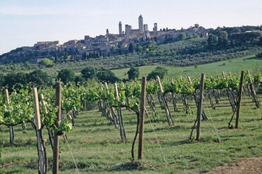 SAN GIMIGNANO: DEGUSTAZIONE CON VISTA SULLE TORRI - Key highlights to look for