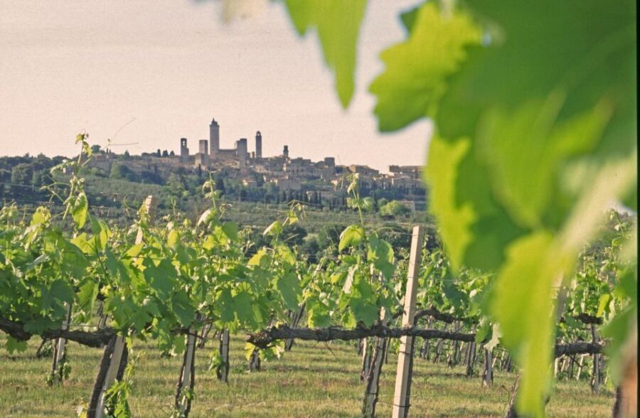 SAN GIMIGNANO: DEGUSTAZIONE CON VISTA SULLE TORRI - First stop: Fattoria Abbazia Monte Oliveto and why that matters