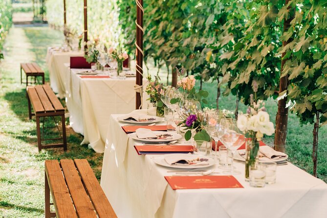 San Gimignano Romantic Dinner in the Vineyards - Olive Oils and Gold Reserve Balsamic: The Surprising Part