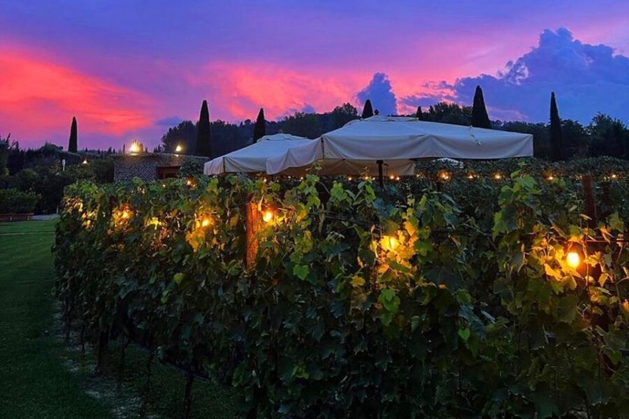 San Gimignano: Romantic Vineyard Dinner - Who This Vineyard Dinner Suits Best