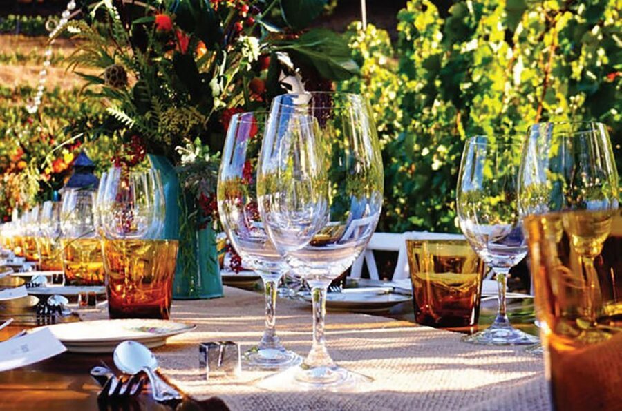 San Gimignano: Romantic Vineyard Dinner - Wine Tasting That Actually Teaches: Techniques, Not Just Names