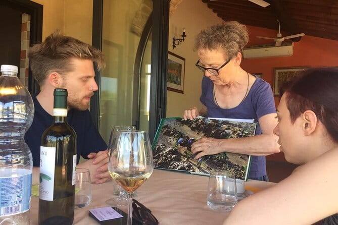 San Gimignano, Saffron and Vernaccia Wine from Florence - San Gimignano: why the skyline matters for more than photos