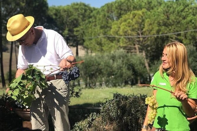 San Gimignano, Siena, Monteriggioni: Fully Escorted Tour, Lunch & Wine Tasting - The Chianti road and winery lunch: the heart of the day