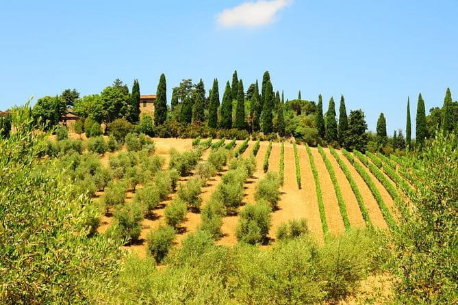 San Gimignano, Siena, Monteriggioni: Fully Escorted Tour, Lunch & Wine Tasting - Price and value: why $95.58 can make sense