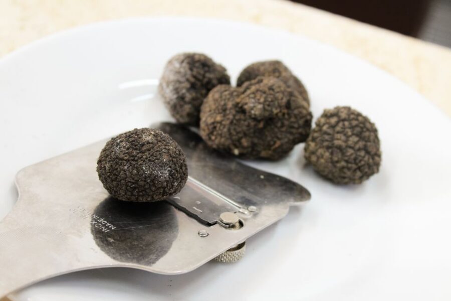 San Gimignano: Truffle Cooking Class with Wine Tasting - Arriving at Tenuta Torciano Winery in San Gimignano