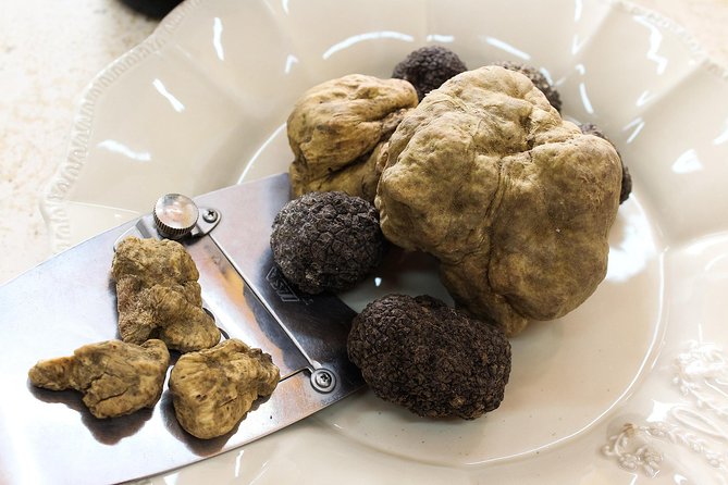 San Gimignano Truffle Hunt & Truffle Cooking Class - Cooking With Tony: From Fresh Pasta to Truffle Lasagna