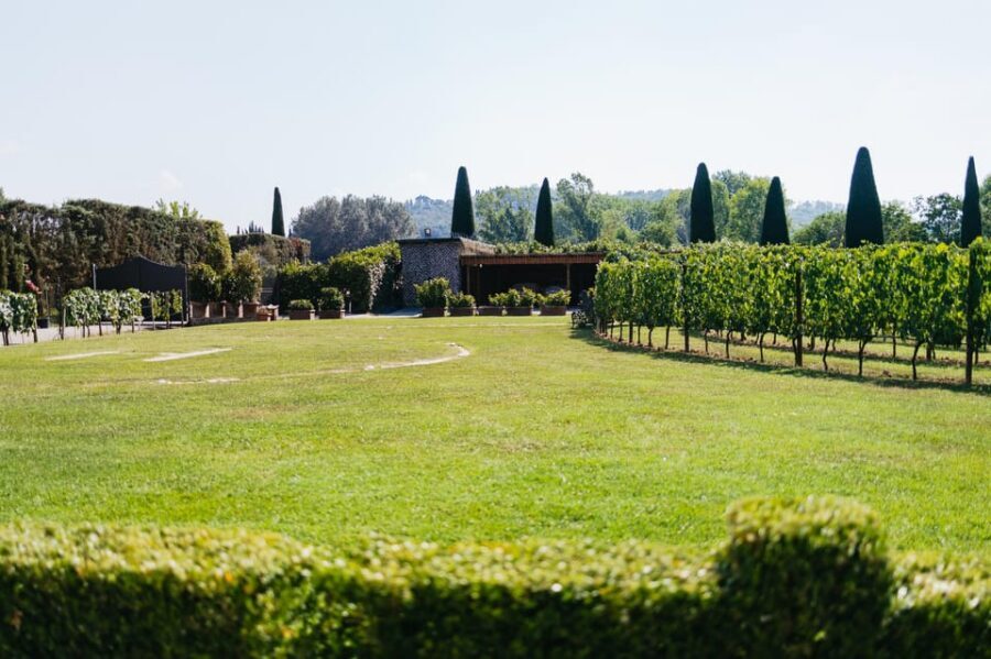 San Gimignano: Tuscan Vineyard Lunch with Wine Tasting - Key highlights at Tenuta Torciano