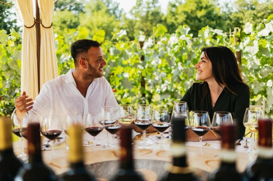 San Gimignano: Tuscan Vineyard Lunch with Wine Tasting - Tuscan Vineyard Lunch at Tenuta Torciano Winery: What It Feels Like
