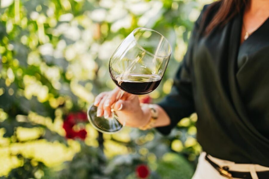 San Gimignano: Tuscan Vineyard Lunch with Wine Tasting - The 2-Hour Flow: From Check-In to Lunch to Vineyard Time