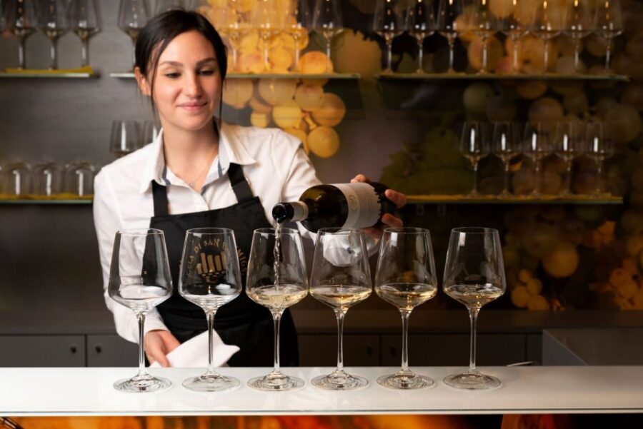 San Gimignano: Vernaccia Wine Tasting Experience - San Gimignano Vernaccia: the real focus of this 45-minute tasting