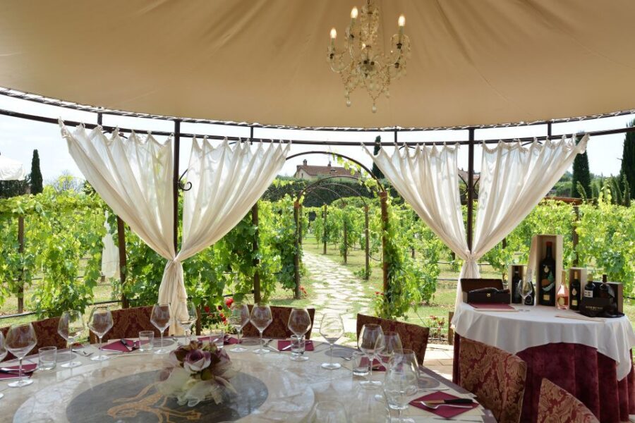 San Gimignano: Vineyard Walk with Wine Tasting in winery - Should you book the Vineyard Walk with Wine Tasting?