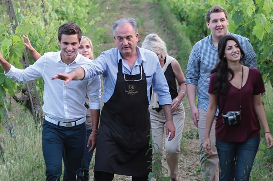 San Gimignano: Vineyard Walk with Wine Tasting in winery - The vineyard walk: green rows, real production questions, and a guide-led pace