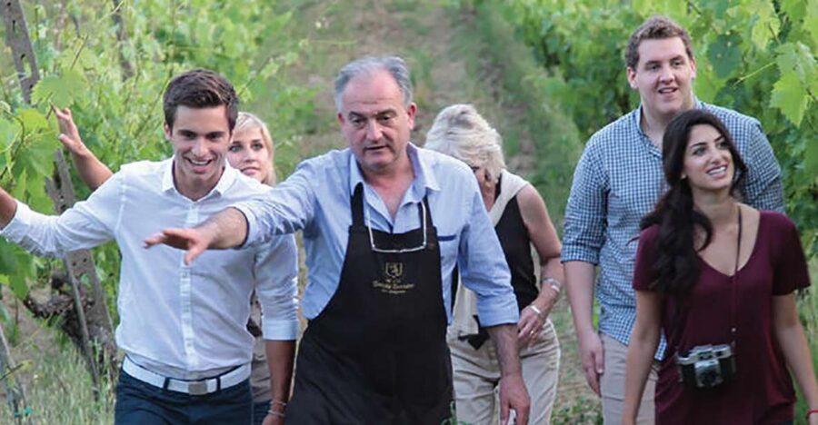 San Gimignano: Vineyard Walk with Wine Tasting in winery - Barrel room and wine cellar: when the tour shifts from scenery to craft