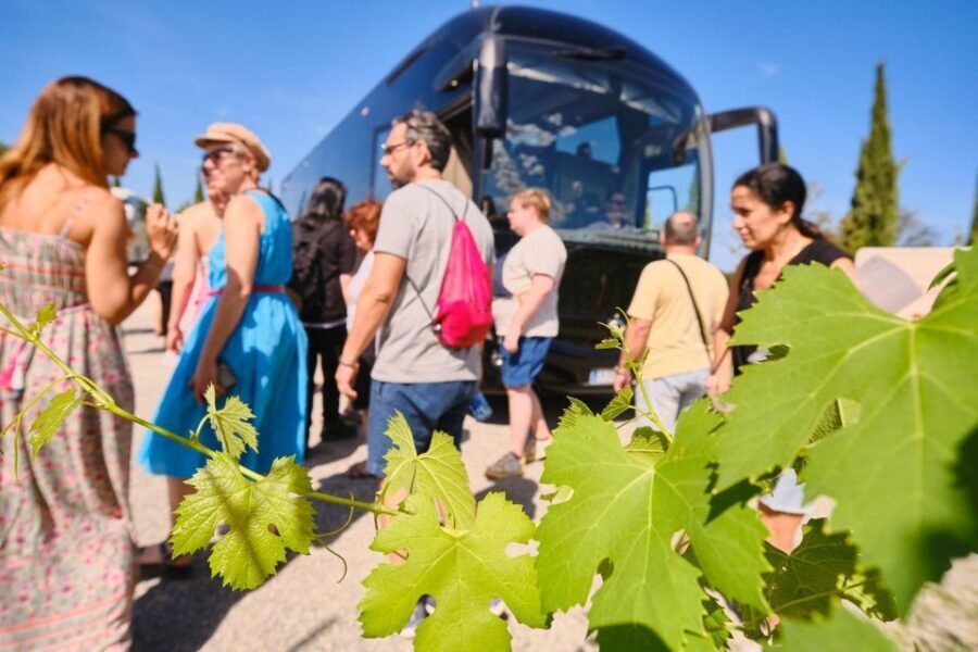 San Gimignano, Volterra, St Galgano Abbey small group tour - Coach Comfort, Pace, and When to Ask Questions