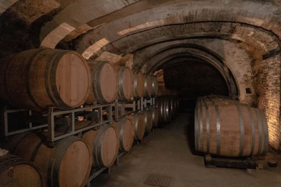 San Gimignano: Wine and Food Tasting in a Family Winery - Who should book this Casa Lucii wine-and-food tasting