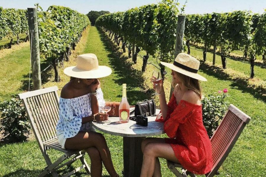 San Gimignano Wine Tasting and Class in Winery for Beginners - Key highlights worth planning around