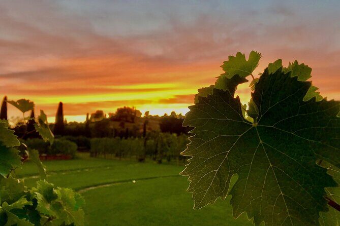 San Gimignano Wine Tour and tuscan appetizer for small group - Price and value: does $46.13 make sense for what’s included?