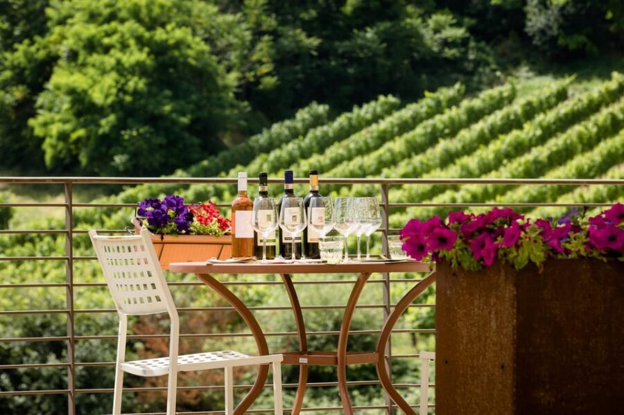 San Gimignano: Winery Visit with Picnic in Olive Grove - A Picnic in a Real Olive Grove, Not a Scripted Vineyard Scene