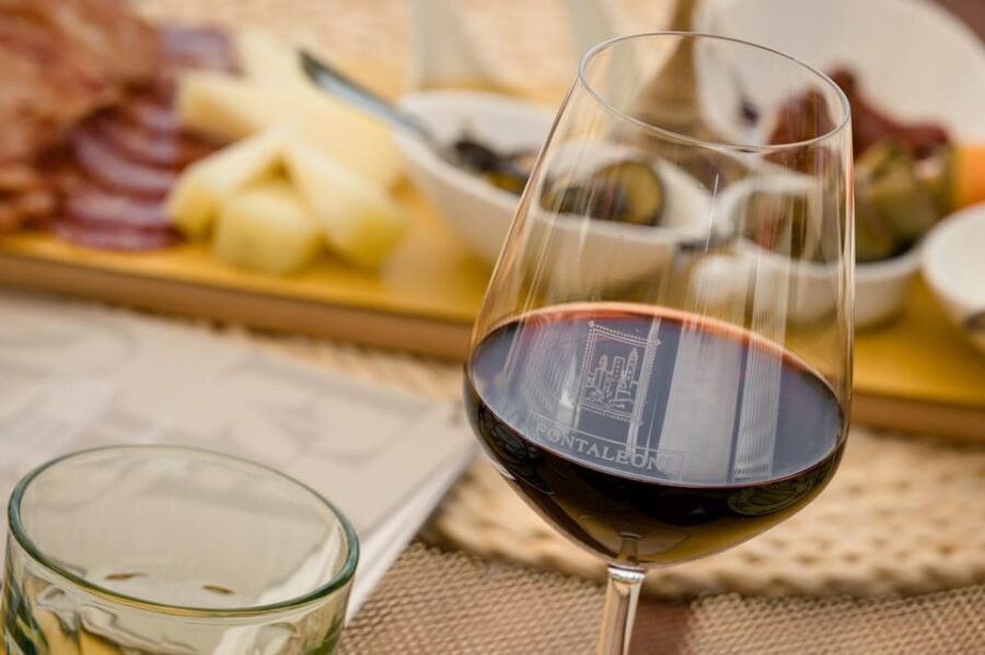 San Gimignano: Winery Visit with Picnic in Olive Grove - Before You Eat: The Winery Visit and the Olive Oil Lesson