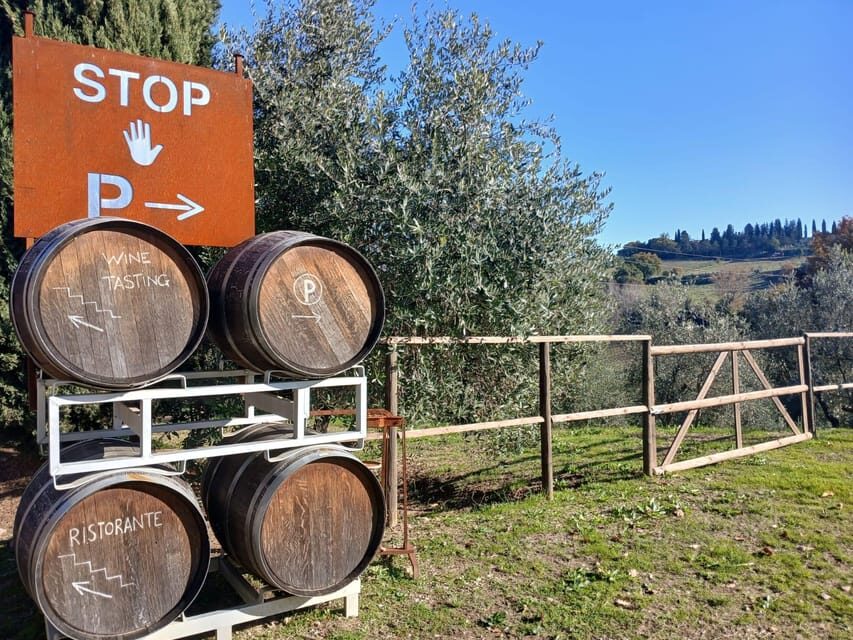 San Gimignano: Winery Visit with Picnic in Olive Grove - Who This Experience Suits Best