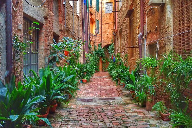 Secret Siena Walking Tour - Price and Value: When $270.93 Actually Works for You