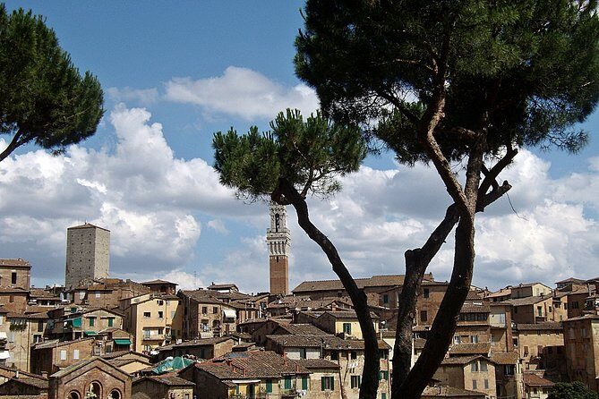 Secret Siena Walking Tour - The 2-Hour Pattern: Up, Down, and Through the Districts