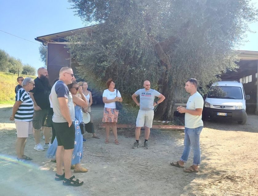 Seggiano: Typical Tuscan Farm Tour with Olive Oil Tasting - The Tasting That Teaches You How to Be a Better Oil Consumer