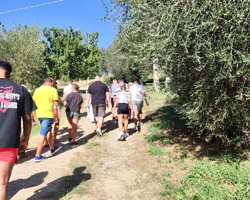 Seggiano: Typical Tuscan Farm Tour with Olive Oil Tasting - Value and Pricing: Is $53 Worth It?
