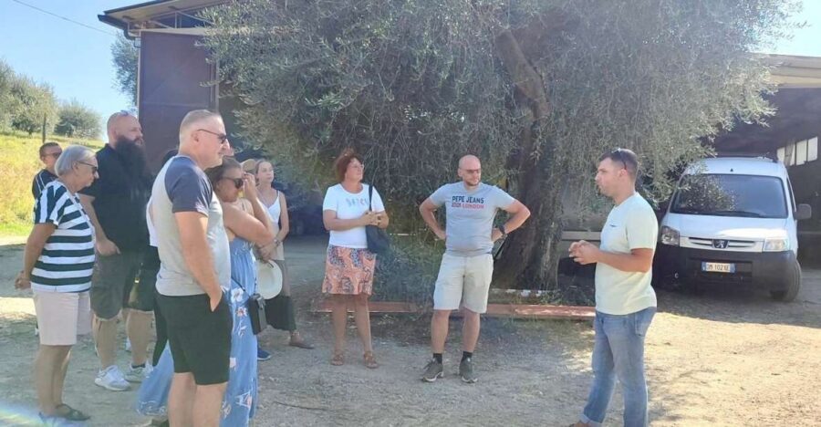 Seggiano: Typical Tuscan Farm Tour with Olive Oil Tasting - What the 2-Hour Visit Really Includes (And How It Flows)