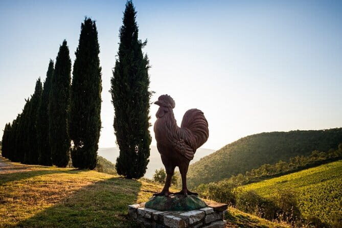 Semi-Private Chianti Wine Tour with Dinner in Tuscany Vineyard - Semi-Private Groups: Why Max 15 Changes the Feel