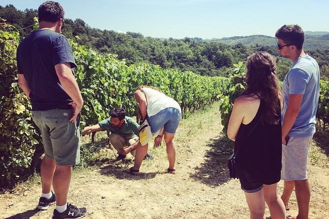 Semi-Private Chianti Wine Tour with Dinner in Tuscany Vineyard - When to Go and What to Bring for a Better Evening