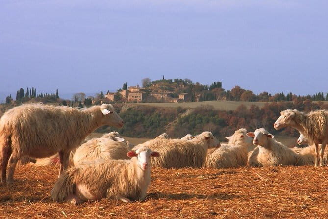 Semi-Private Gluten-Free Cooking Class in Florence - What you drink while you eat: wine and craft beer included