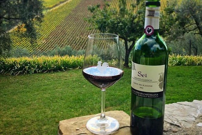 Siena and Chianti Wineries Excursion by Private Luxury Van from Florence - Why This Private Van Tour Feels So Smooth