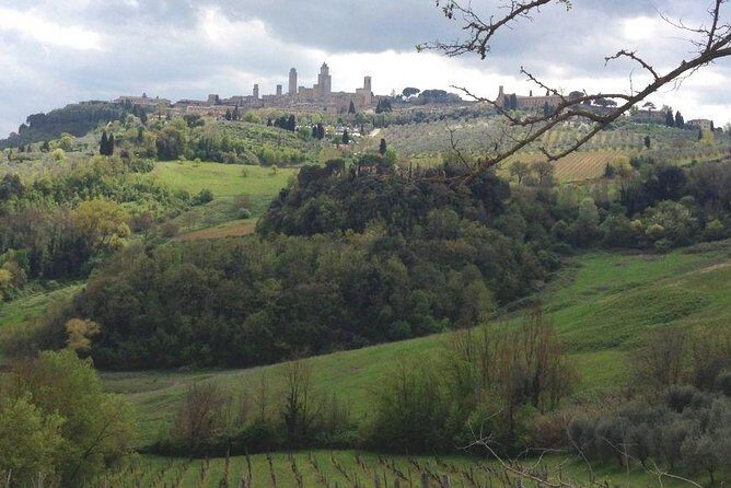 Siena and San Gimignano, The Glory Of Medieval Age In Tuscany - Timing, Comfort, and Why Private Feels Better Here
