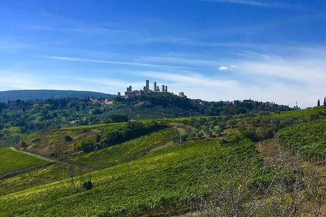 Siena and San Gimignano Tour from Florence - Private-car pace: why this Siena and San Gimignano day works