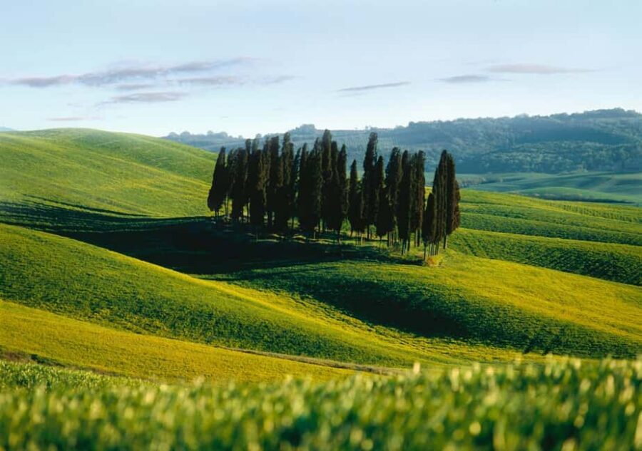 Siena: City Tour in German - Key things that make this Siena tour worth your time