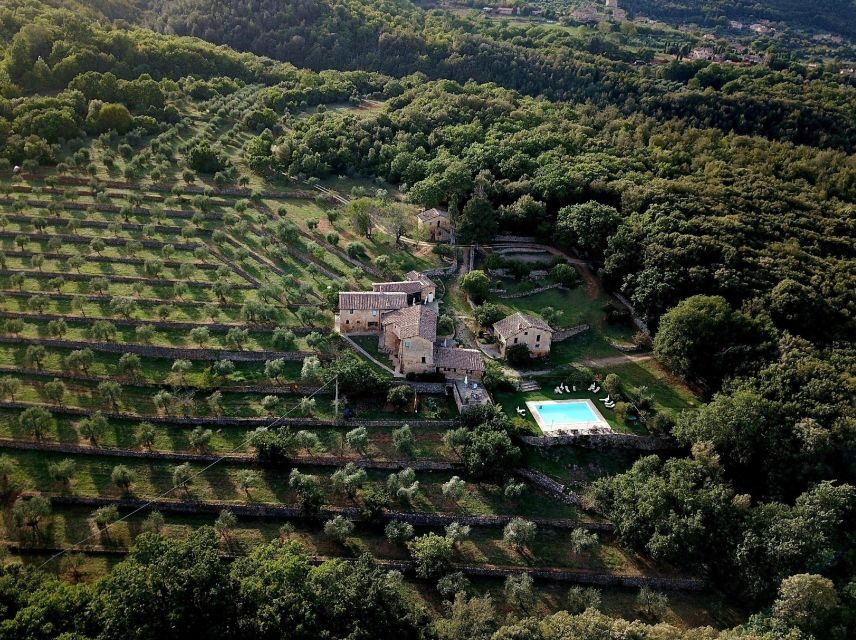 Siena countryside: cooking class in a real Tuscan farmhouse - The included 3-course meal: your lunch, not the lecture finale