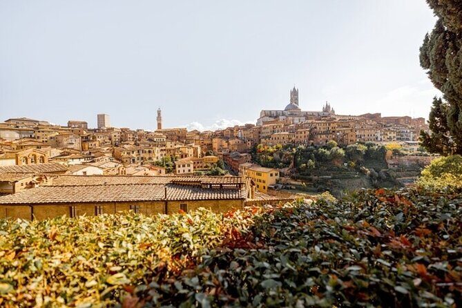 Siena Highlights Private Walking Tour With A Guide (Private Tour) - Start at Viale Curtatone, then earn your bearings at Piazza del Campo