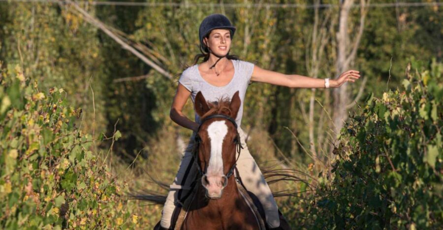 Siena: Horseback Adventure in the Tuscan Countryside - The ride through Siena’s vineyards and olive groves (and what 1 hour really feels like)